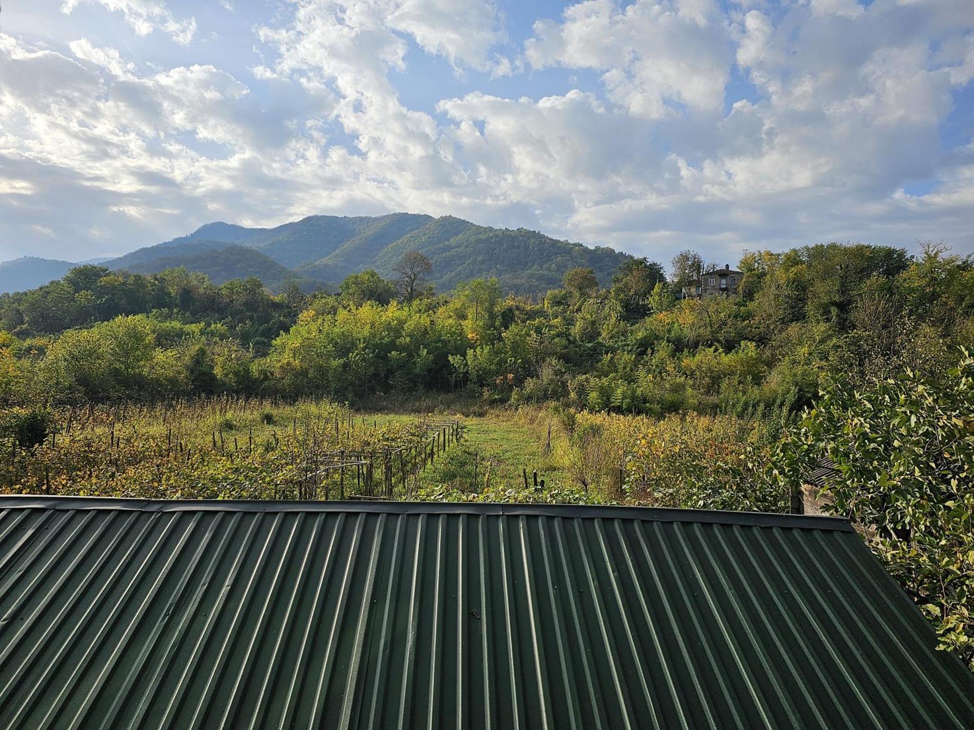 Guesthouse - Family Hotel Bagdati エクステリア 写真